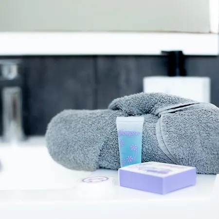 Lejlighed ++++ Duplex Renove 5 Pieces 150m2 A 8 Mn De La Place Dalton ++++ *